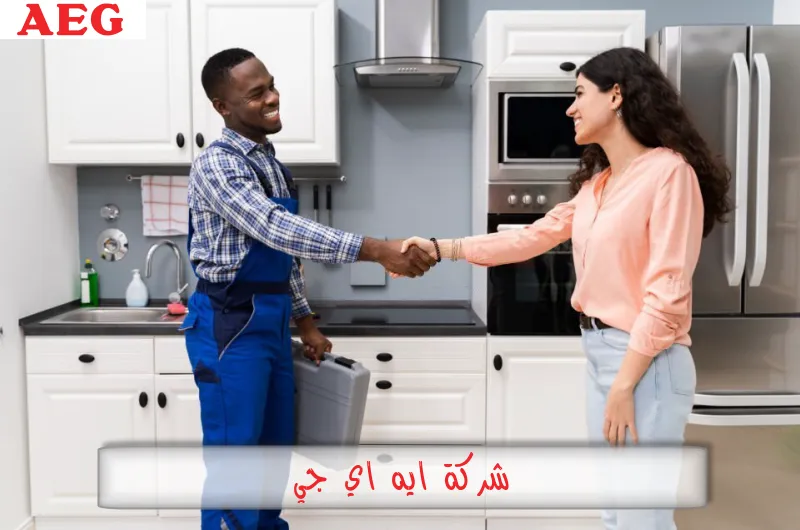 شركة ايه اي جي