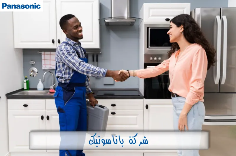 شركة باناسونيك