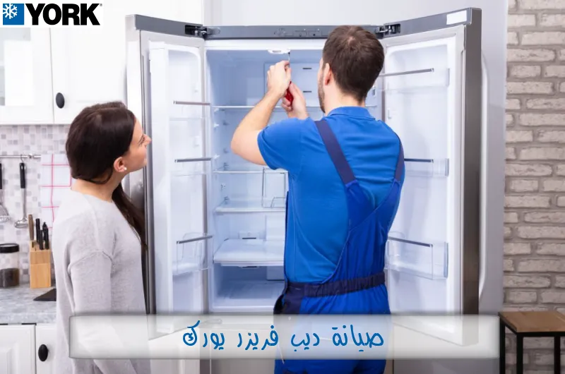 صيانة ديب فريزر يورك